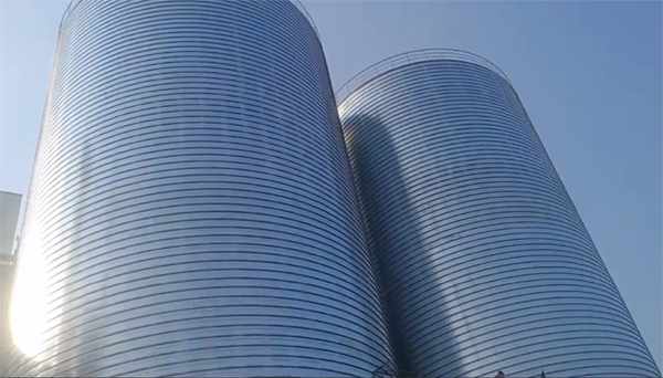 桦川2座混凝土高架卷板仓